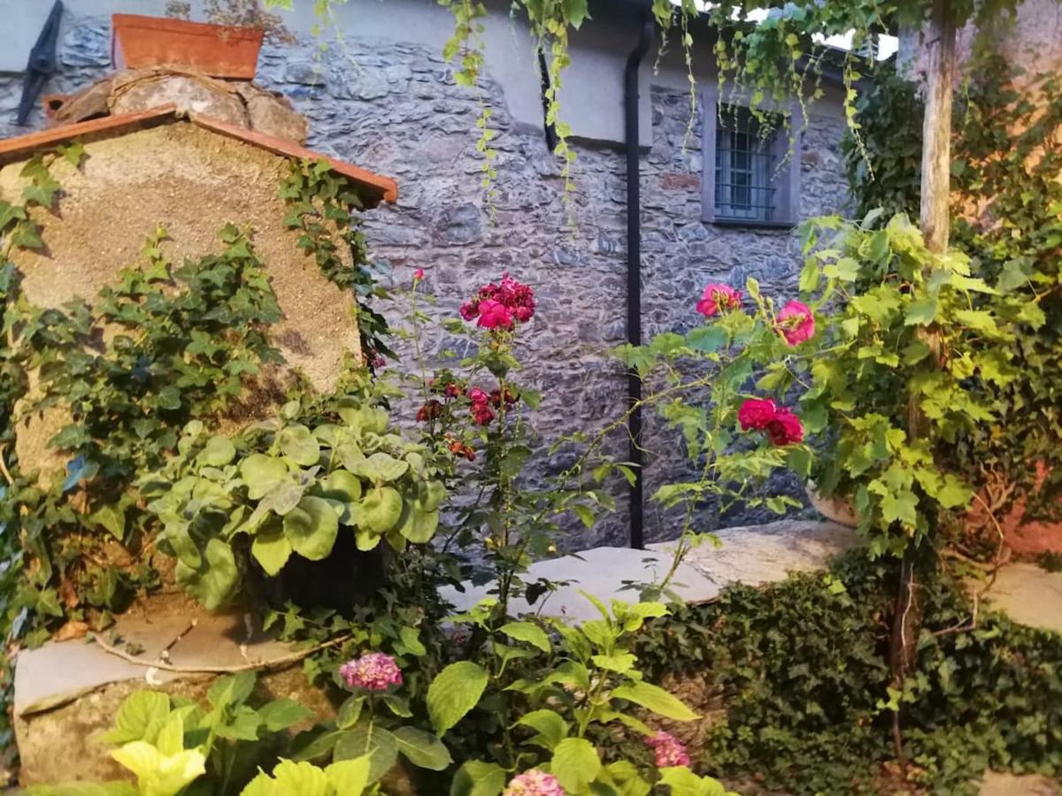 Casale Maria Mafalda Pieve di Teco Esterno foto